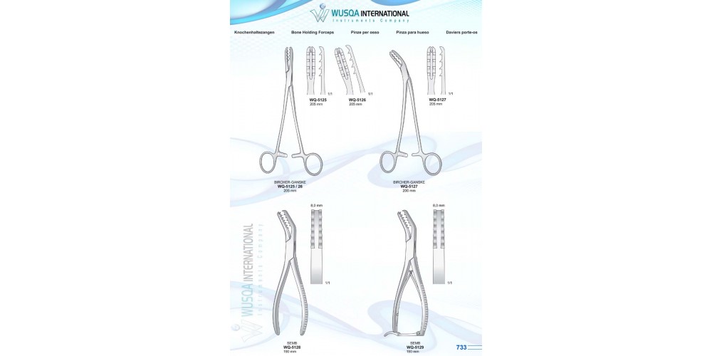 Bone Holding Forceps